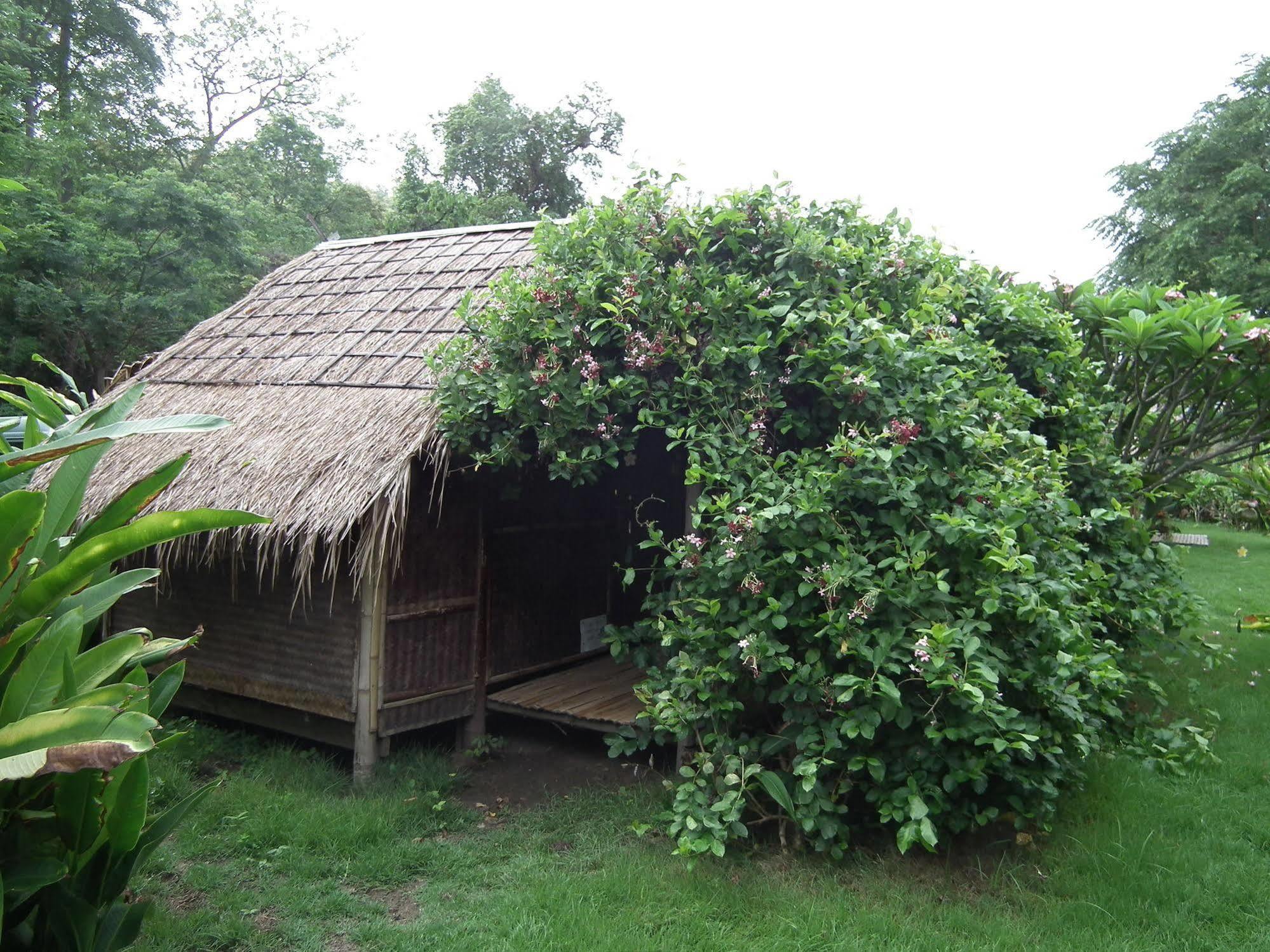 Pai Bamboo Hut Hotel Eksteriør billede